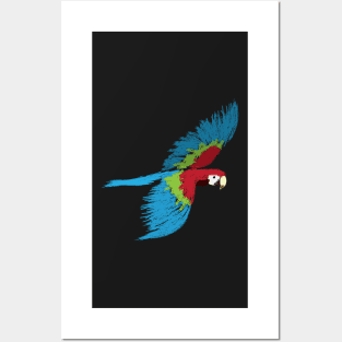 Artwork of Scarlet Macaw Parrot in Flight Posters and Art